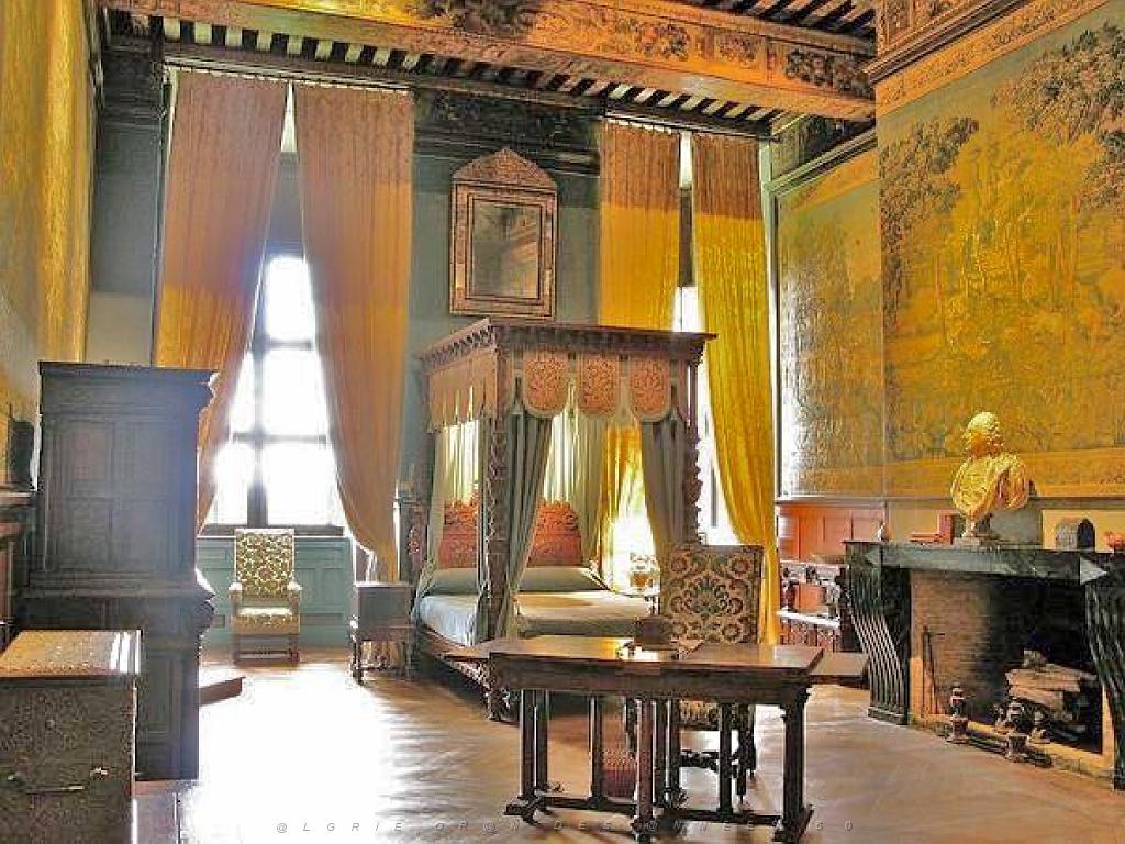149 CHATEAU DE BRISSAC MAINE ET LOIRE 2016 N0_000032.jpg